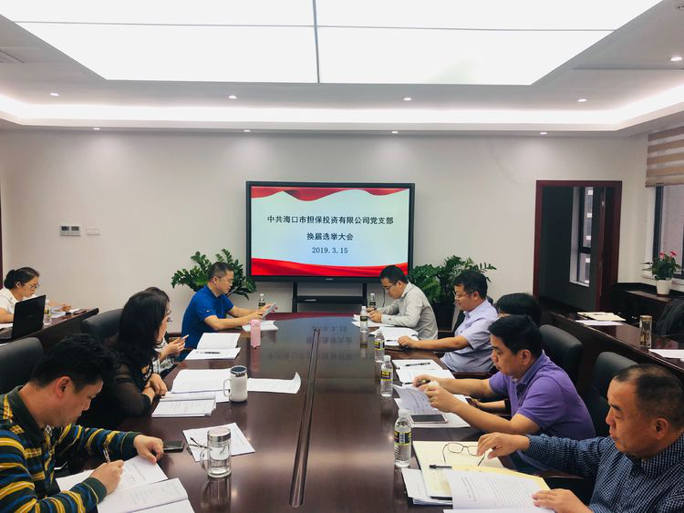 市金控公司召開(kāi)2018年度黨支部書記述職評(píng)議大會(huì)暨黨支部換屆選舉黨員大會(huì)